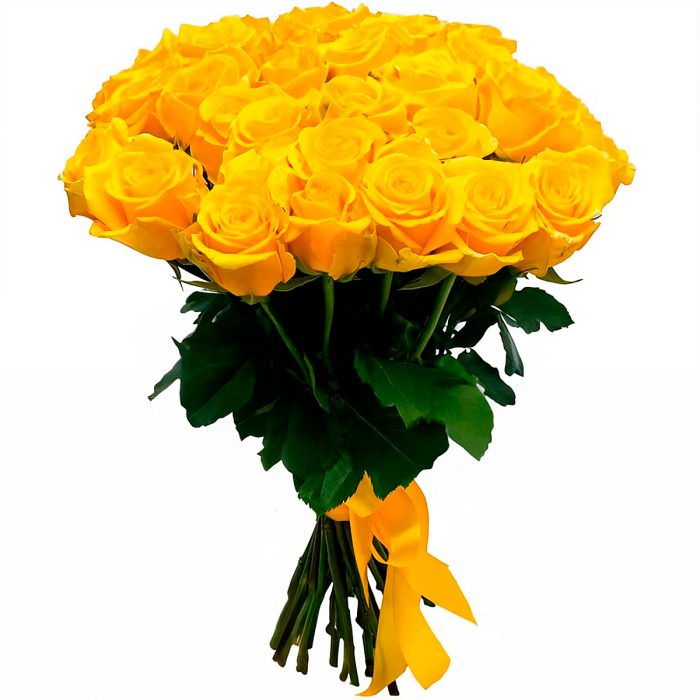 Розы Эквадор желтые
