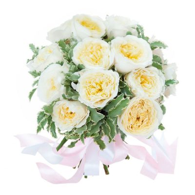Розы Пионовидные одноголовые белые