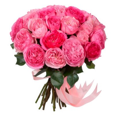 Розы Пионовидные одноголовые розовые