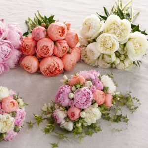 Свадебный букет невесты из пионов — сорта Sarah Bernhardt, Coral Charm, Bowl of Cream и формы букета