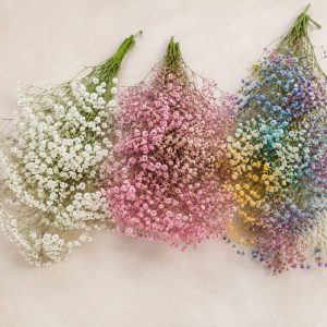 Цветы в коробке с гипсофилами — белая Million Stars, розовая Tickled Pink и окрашенная радужная гипсофила